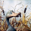 un-canard-jpg