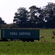 camion-jpg