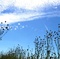 nature-jpg - La pluie et le beau temps 