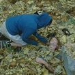 dans-les-feuilles-jpg