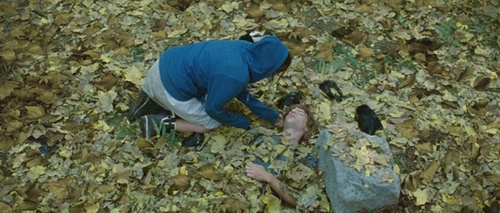 dans-les-feuilles-jpg