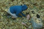 dans-les-feuilles-jpg