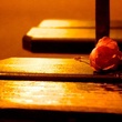 rose-jpg