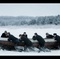 bateau-dans-la-neige-jpg - Les révoltés de l'île du diable 