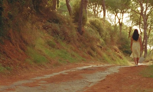 dans-la-foret-jpg