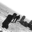 le desert du territoire perdu
