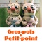 Affiche du film Gros pois et Petit point   - Gros pois et Petit point  