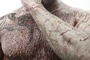 un homme ensanglanté pour le tournage de L.A Zombie