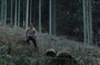 dans-la-foret-franck-falise-pour-la-fin-du-silence-jpg