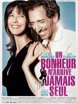 Affiche du film Un bonheur n'arrive jamais seul