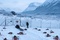 massacre-de-cerfs-dans-le-film-pere-noel-origines-jpg