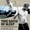 affiche-francaise-teaser-gris-jpg - Two gates of sleep 