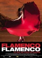 Flamenco, Flamenco