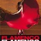 affiche-internationale-jpg - Flamenco, Flamenco 