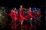 danse-de-flamenco-pour-le-film-flamenco-flamenco-jpg