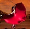 danseuse-de-flamenco-en-robe-traditionnelle-jpg - Flamenco, Flamenco 