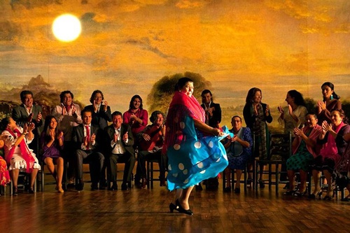 danseuse-de-flamenco-jpg