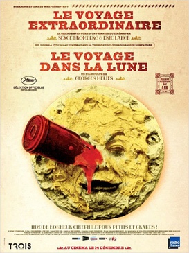 Affiche du film Le voyage extraordinaire