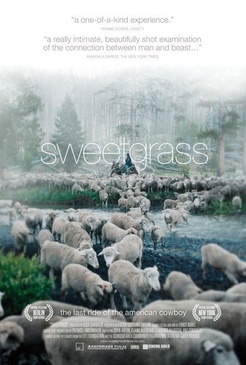 Affiche du film Sweetgrass