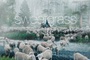 Affiche du film Sweetgrass 