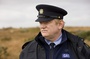 l-acteur-brendan-gleeson-jpg