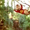 alvin-dans-les-branches-alvin-et-les-chipmunks-3-jpg - Alvin et les Chipmunks 3  