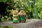 theodore-dans-alvin-et-les-chipmunks-jpg