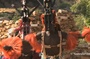 le-sang-et-la-beaute-documentaire-jpg