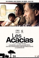 Affiche miniature du film Les acacias
