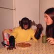 nim-a-table-jpg