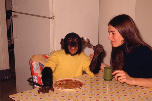 nim-a-table-jpg