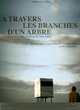 Affiche du film A travers les branches d'un arbre 