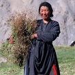 film-himalaya-terre-des-femmes-jpg