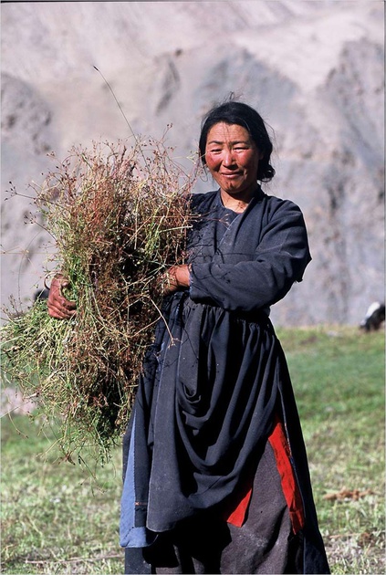 film-himalaya-terre-des-femmes-jpg