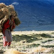himalaya-terre-des-femmes-jpg