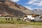 paysage-en-himalaya-terre-des-femmes-jpg