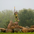 jared-gilman-jpg