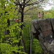 kara-hayward-et-jared-gilman-jpg