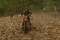 un-jeune-a-moto-jpg