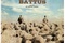 Affiche du film Hors des sentiers battus 