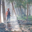 tyler-dans-la-foret-jpg