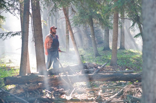 tyler-dans-la-foret-jpg