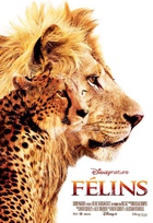 Affiche miniature du film Félins