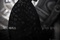 3-transperceneige-snowpiercer-character-poster-jpg