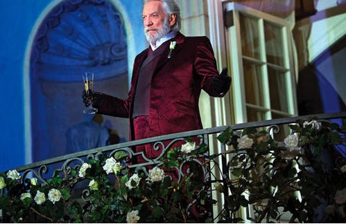 3-hunger-games-2-110113-jpg