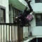 photo-du-film-the-raid-jpg - The Raid : Redemption 