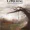Affiche du film The Conjuring  - The Conjuring 