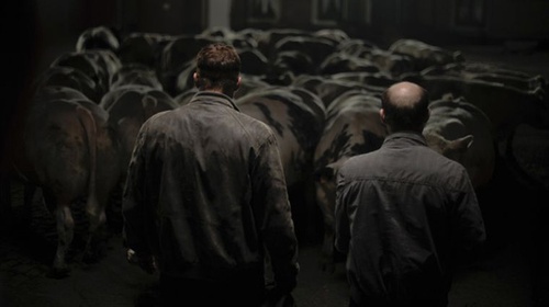photo-du-film-bullhead-jpg