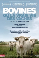 Affiche miniature du film Bovines