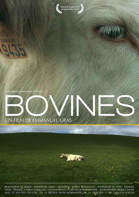 affiche-teaser-jpg